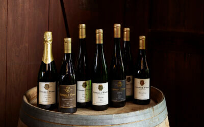 November 2025 New Releases