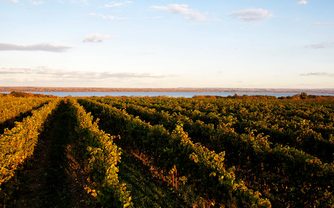 Wine Spectator Highlights 8 Finger Lakes Wines- Wiemer & Standing Stone included!