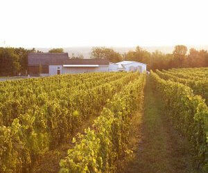 Barrel Tasting 2018 (sold out)