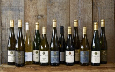 December 2025 New Releases