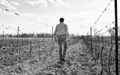 Democrat & Chronicle – “Winery at the Top of Game still Pushing Boundaries in the Finger Lakes”