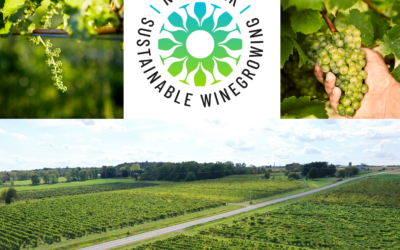 NYWGF Announces New York Sustainable Winegrowing Certification