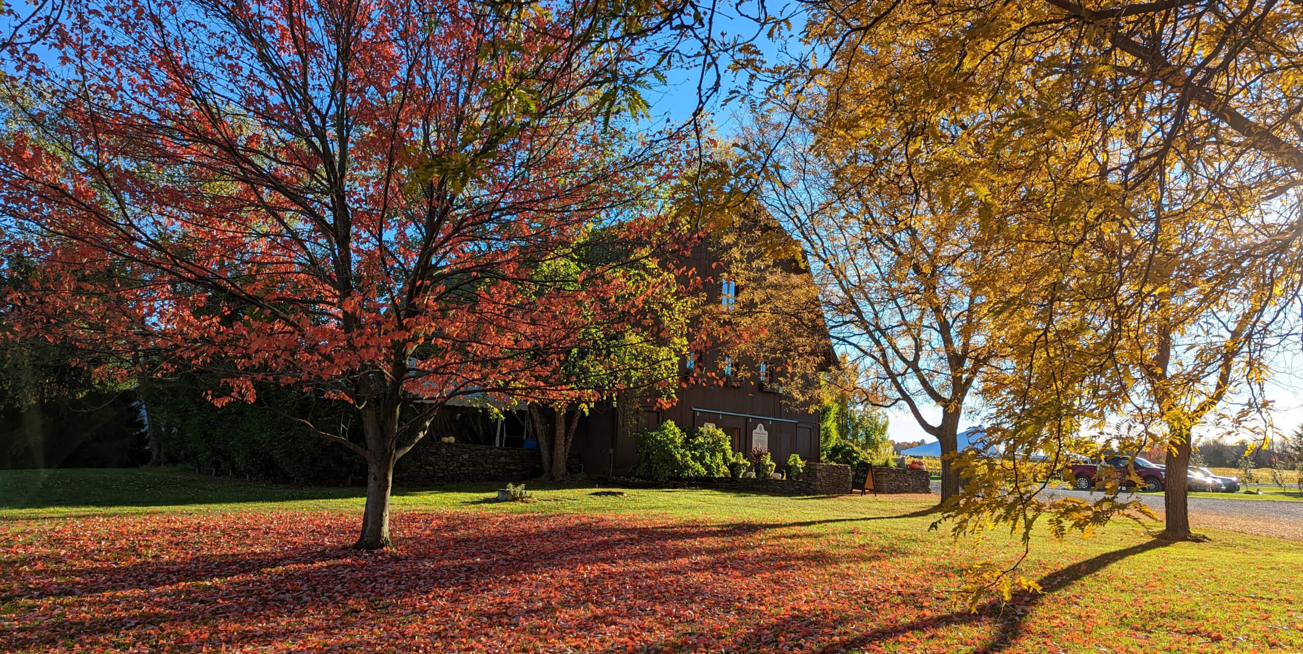 HJW_barn_fall_cropped