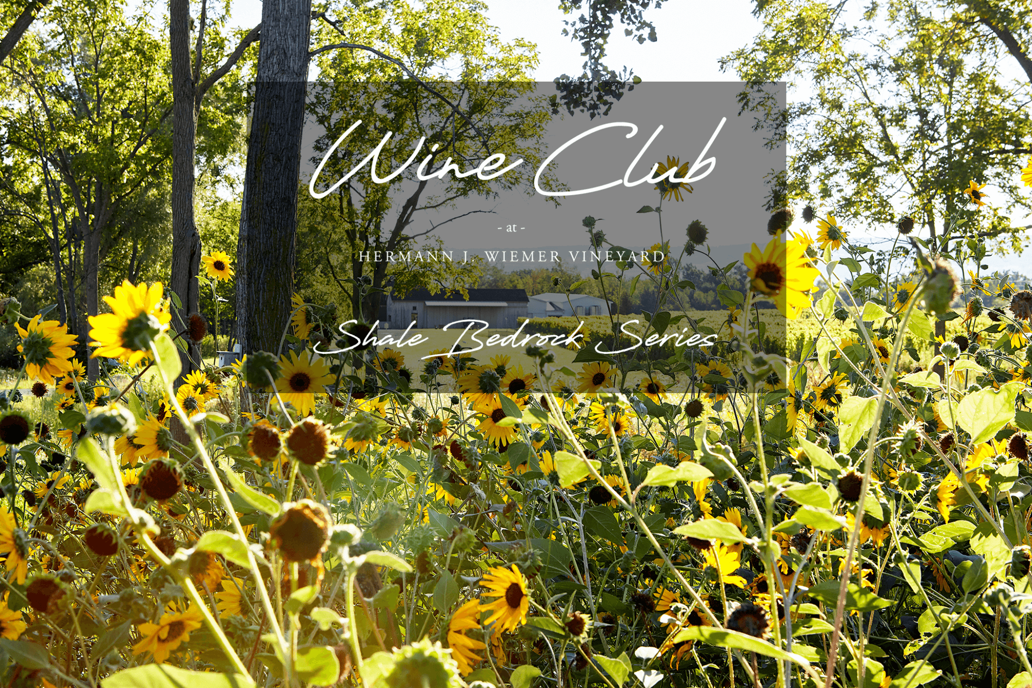 Shale Bedrock Series Hermann J. Wiemer Vineyard