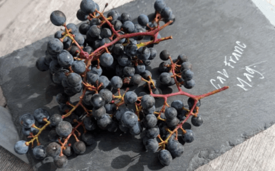 Food & Wine: “Here’s the Secret Code on Your Wine Label That Changes Everything”