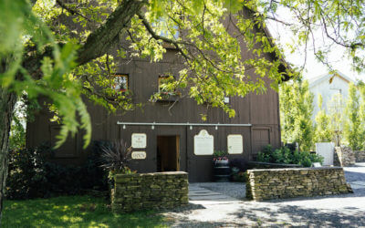 An Update from the Hermann J. Wiemer Vineyard Tasting Room
