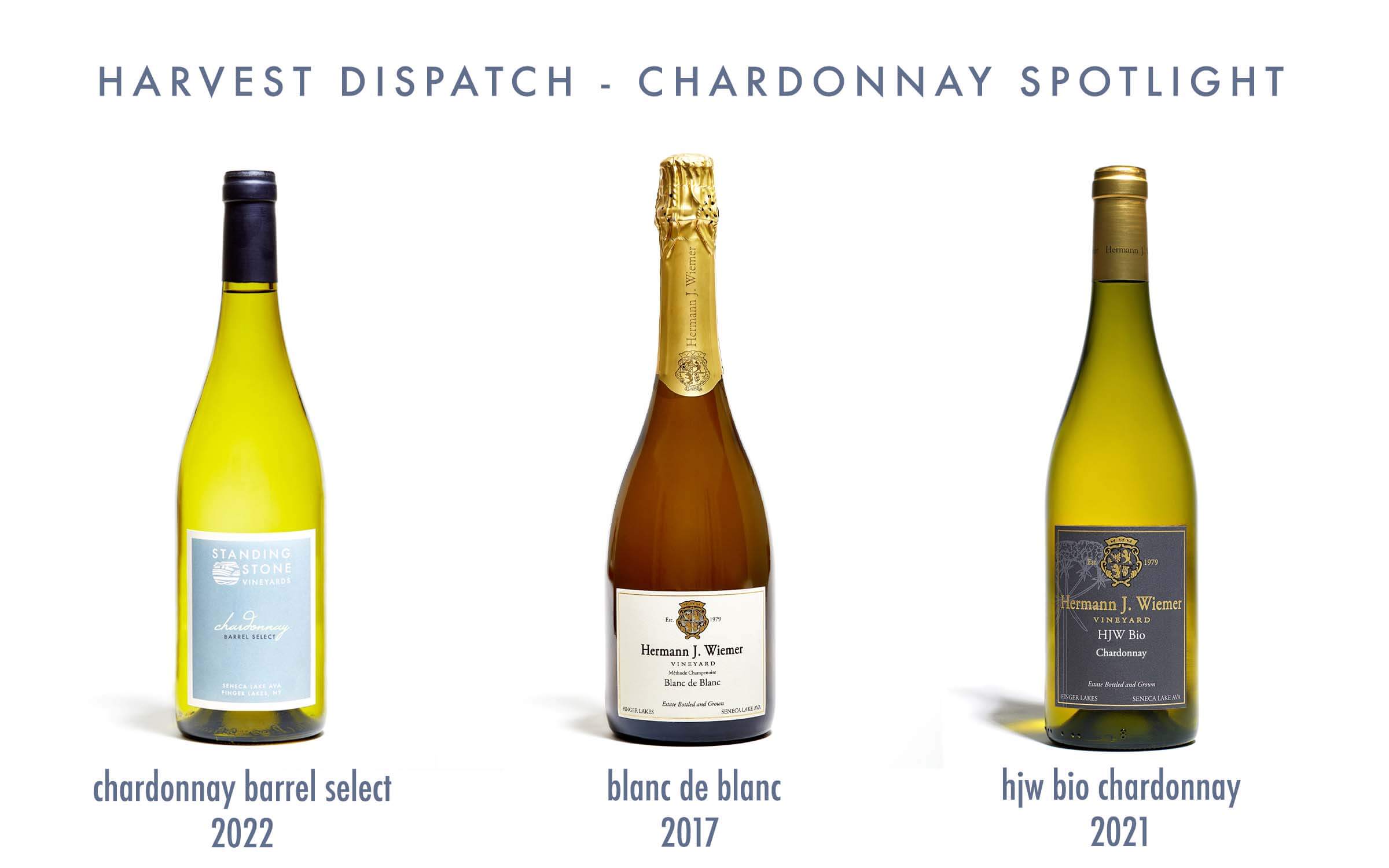 SSV_facebooklive3-packharvestdispatchchardonnay_