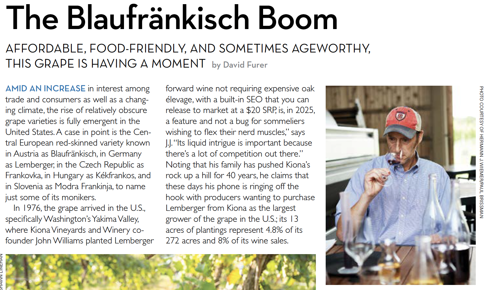 The Somm Journal: The Blaufränkisch Boom