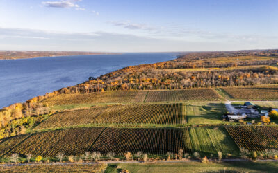 November 2025 New Releases