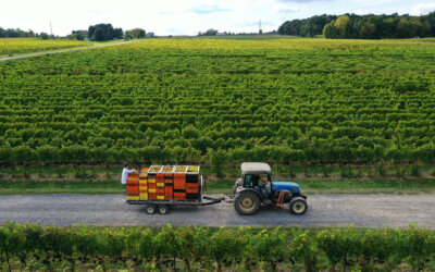 Phantom Ales: Wild Ferment Finger Lakes: A Low-Intervention Cider & Wine Trail